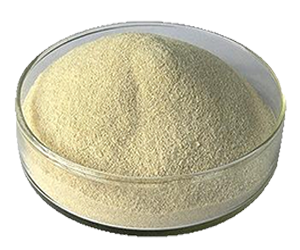 Cassia Gum powder