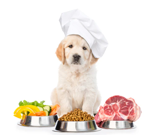 pet food for guar gum powder
