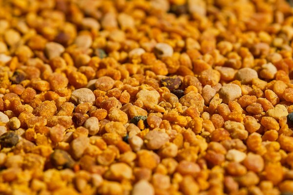 guar korma for poultry feed